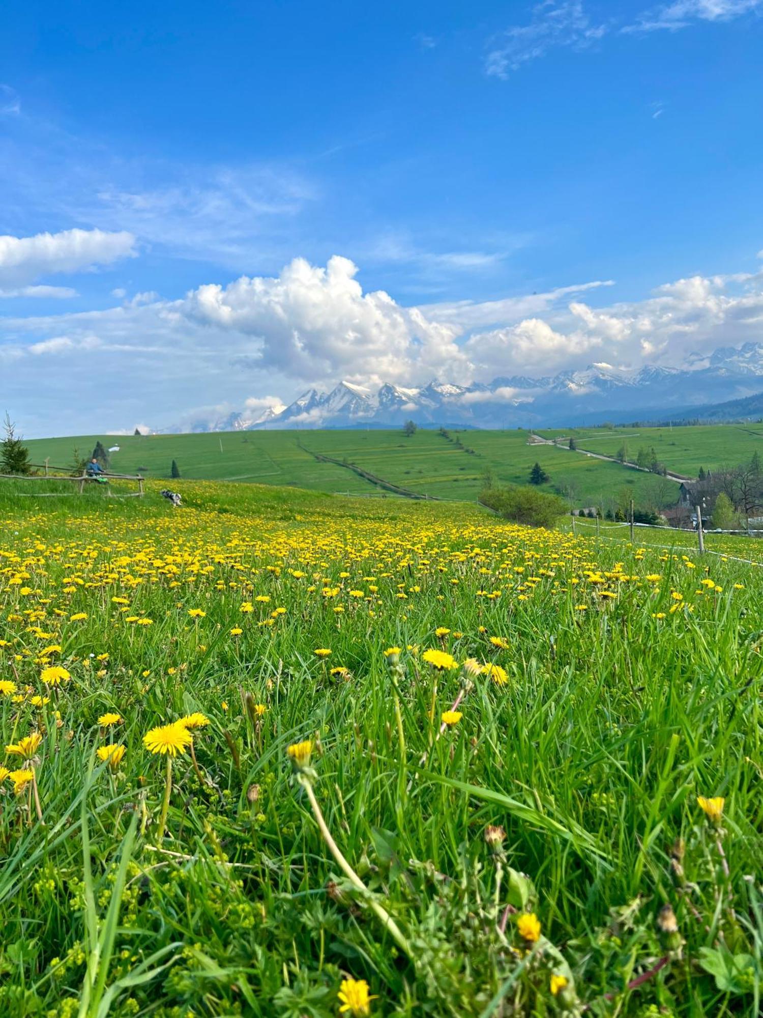 Agrodomek Rzepiska ภายนอก รูปภาพ